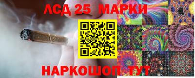индика Владикавказ