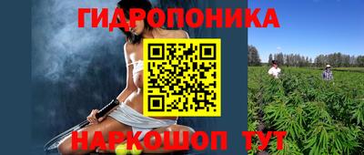 индика Владикавказ